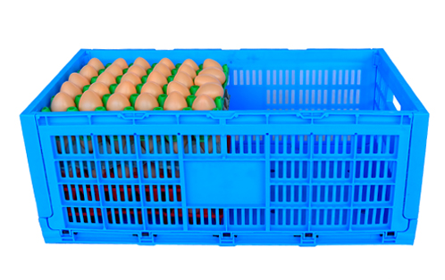 正基塑业ZJKS6333257W可折叠塑料鸡蛋筐